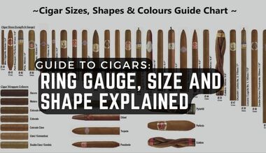 Robusto Cigar: The Most Popular Vitola Explained