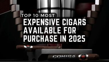 Tony Soprano's Cigars: What He Smoked on The Sopranos